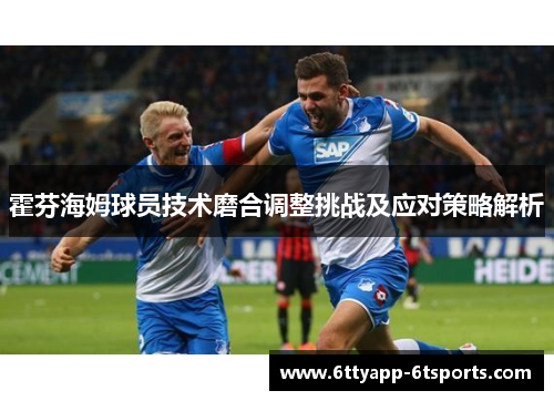 霍芬海姆球员技术磨合调整挑战及应对策略解析