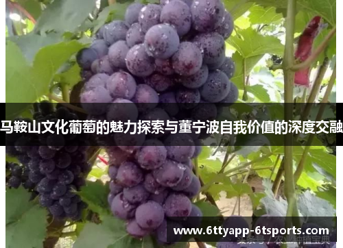 马鞍山文化葡萄的魅力探索与董宁波自我价值的深度交融