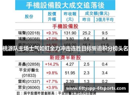 桃源队主场士气如虹全力冲击连胜目标誓追积分榜头名