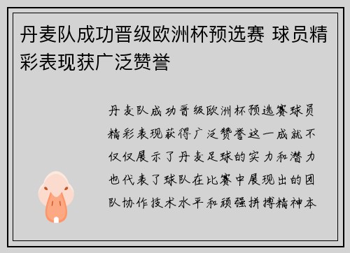 丹麦队成功晋级欧洲杯预选赛 球员精彩表现获广泛赞誉