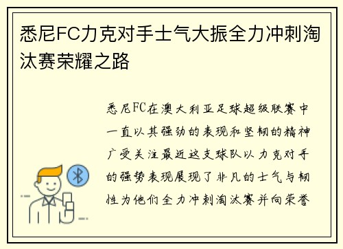 悉尼FC力克对手士气大振全力冲刺淘汰赛荣耀之路